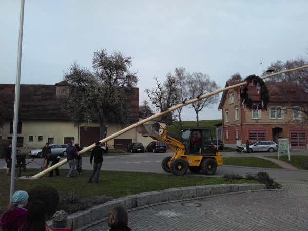 Bild Die Kameraden der Feuerwehr beim Aufstellen des Maibaums (Foto: Michael Kberle)