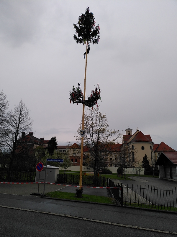 Auch in Sieen am Dorfplatz hat die Feuerwehrabteilung einen Maubaum aufgestellt. (Foto: Michael Kberle)