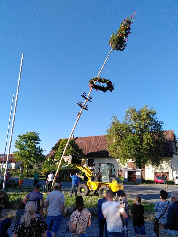 Aufstellen des Maibaums (Foto: Michael Kberle)